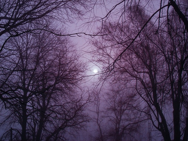 Purple hazy sky