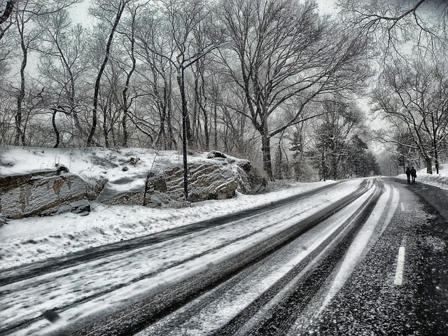 Central park snow Central park snow