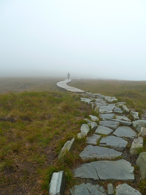 The broken path The broken path