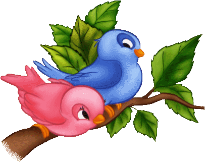 Cute Birds