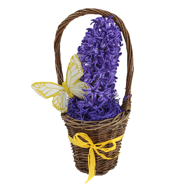 Spring Hyacinth Basket