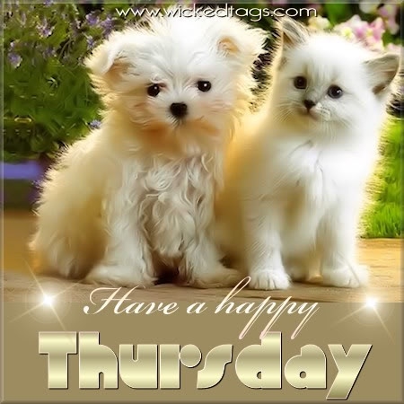 Happy Thursday Happy Thursday
