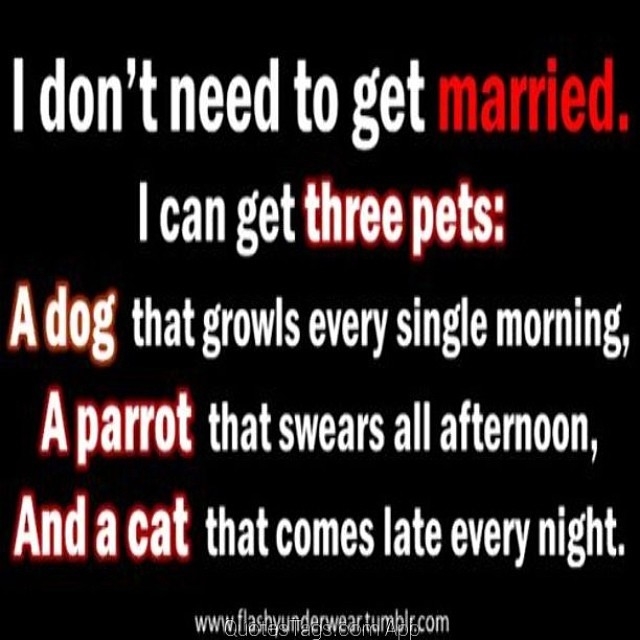 I dont need to get married, I can get three pets I dont need to get married, I can get three pets