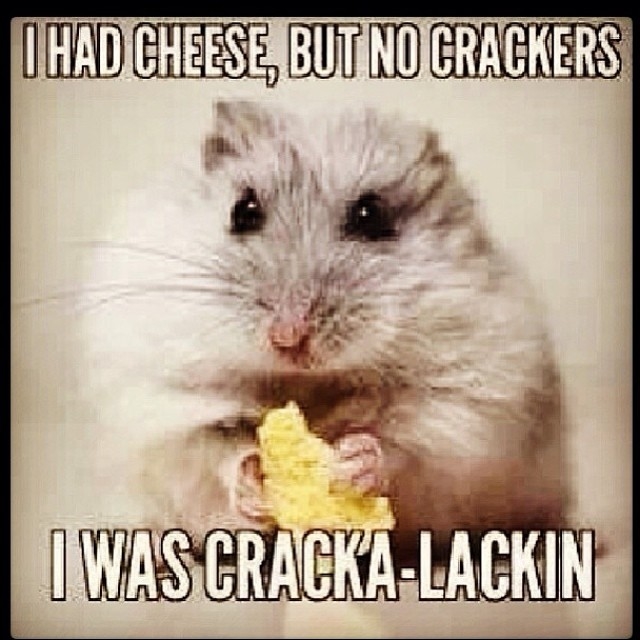 I was crackalacking