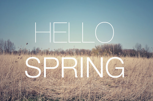Hello Spring Hello Spring