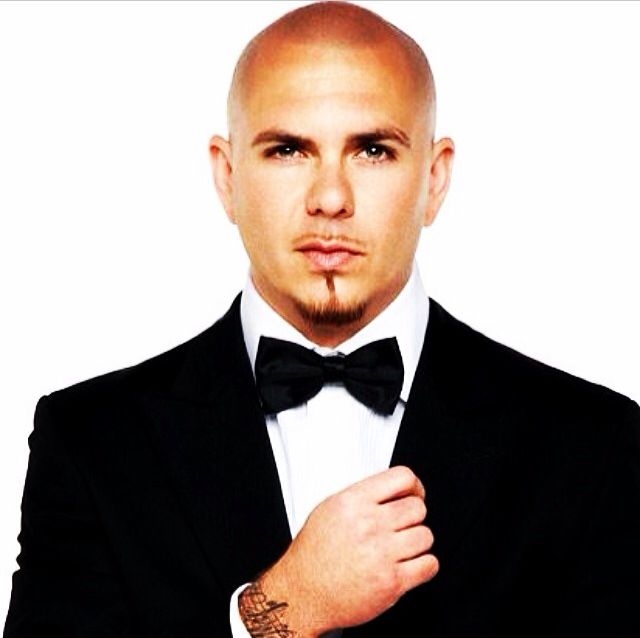 Pitbull Pitbull