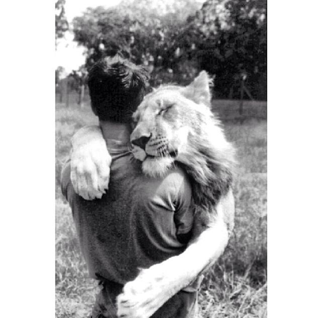 A Mans Best Friend A Mans Best Friend