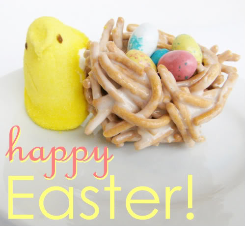 Birds Nest Easter Desert