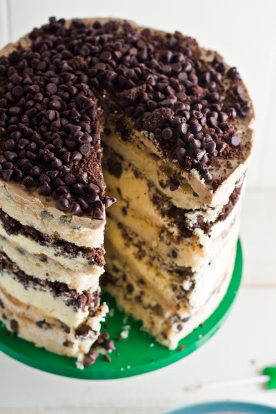 Chocolate chip cake Chocolate chip cake