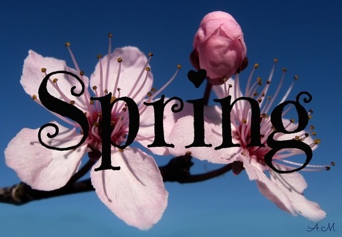 Spring