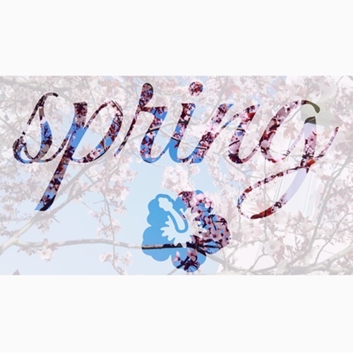 Spring Spring