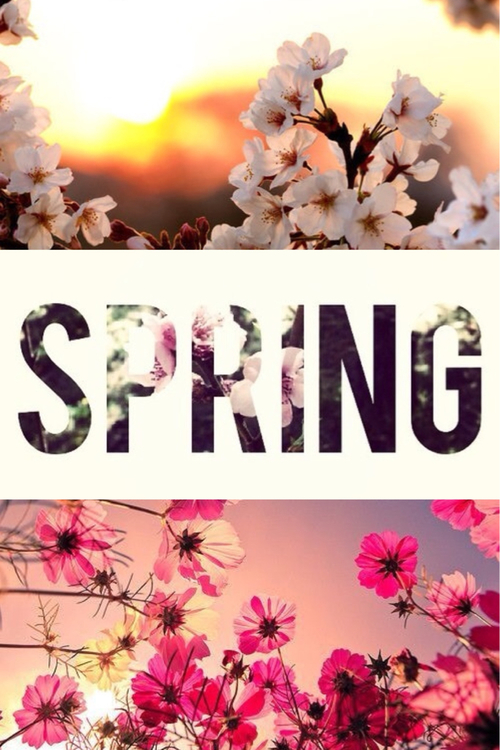 Spring Spring