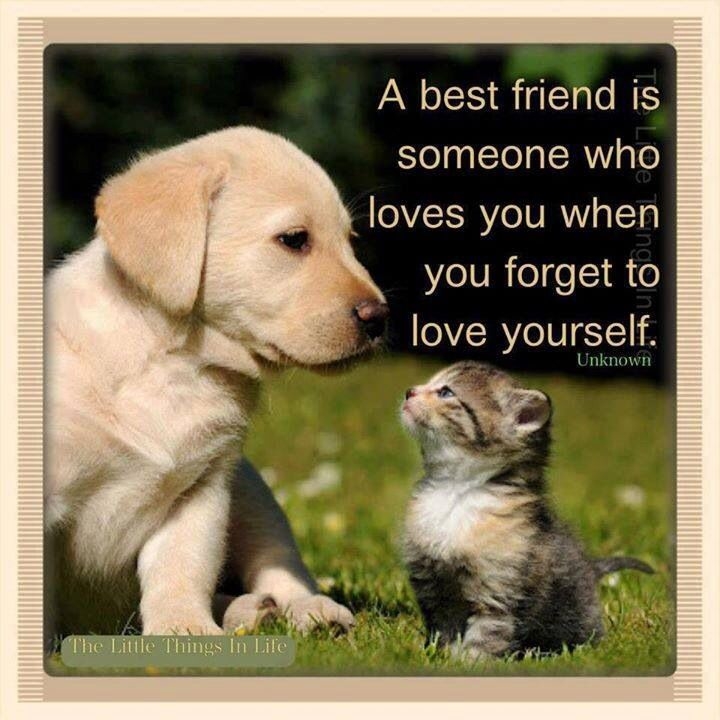 a best friend