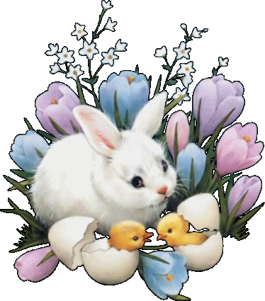 Bunny and Chicks Hatching in Spring