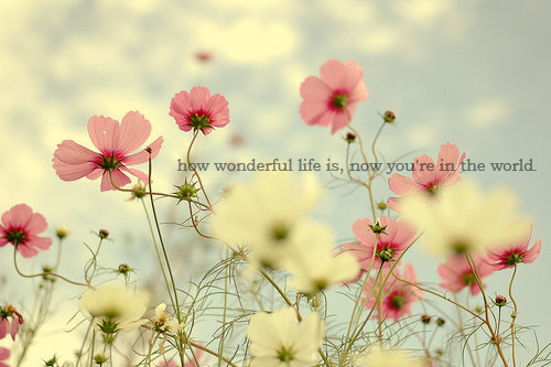 How wonderful life is How wonderful life is
