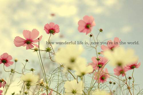 How Wonderful Life Is Pictures, Photos, and Images for Facebook, Tumblr,  Pinterest, and Twitter