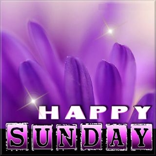 Happy Sunday
