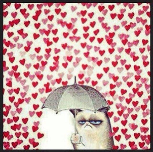 No Love No Love