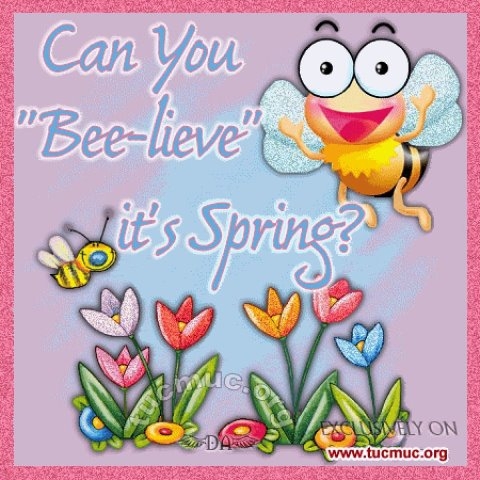 Can you beelieve its spring?