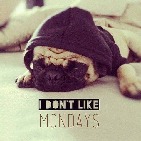 I dont like Mondays