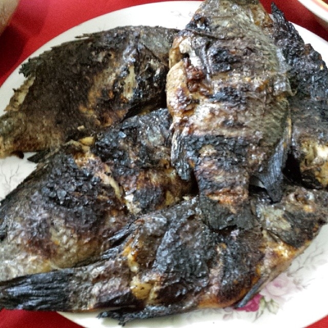 Grilled tilapia