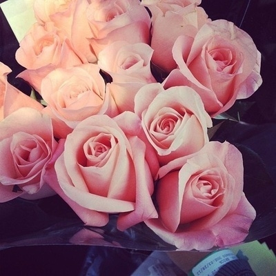 Pink roses set