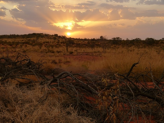 Desert sun