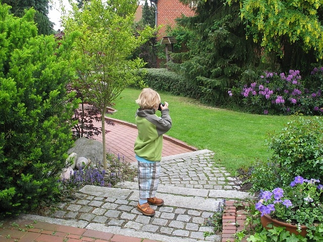 Pictures in the garden Pictures in the garden