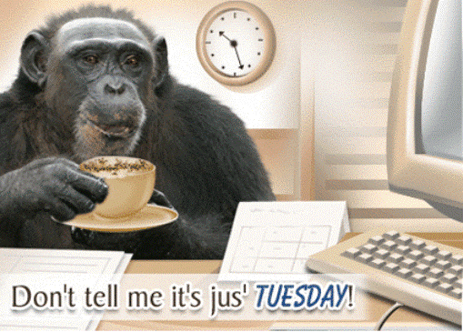 Dont tell me its just Tuesday Dont tell me its just Tuesday