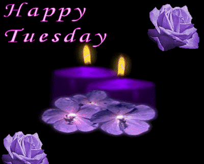 Happy Tuesday Happy Tuesday