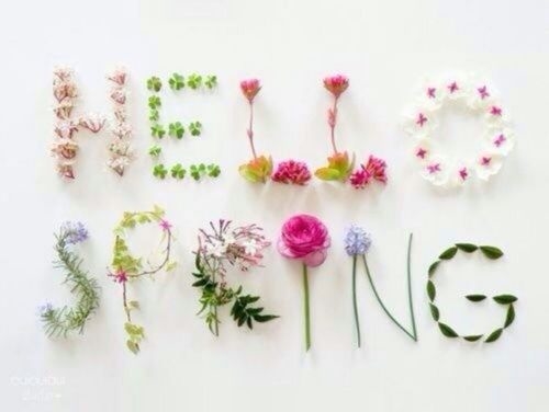 Hello Spring