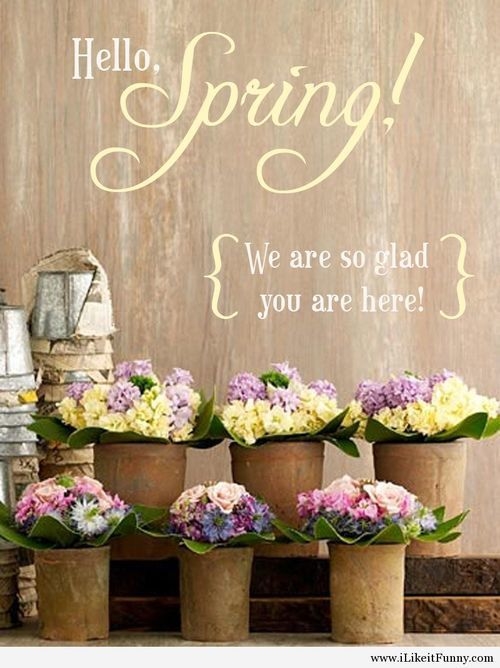 Hello Spring