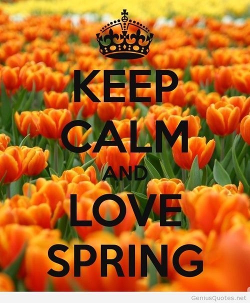 Keep calm and love spring Keep calm and love spring