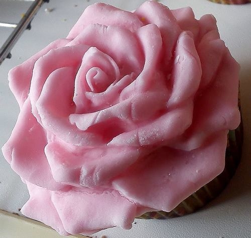 Pink rose cupcake