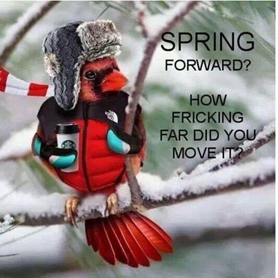 Spring Forward Spring Forward