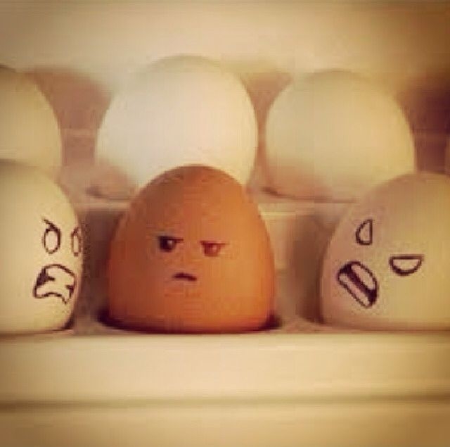 Angry Eggs Angry Eggs