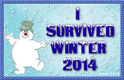 I survived Winter 20114 I survived Winter 20114