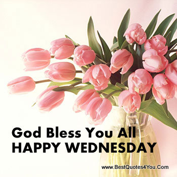 Happy Wednesday