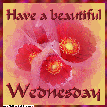Have a beautiful wednesday