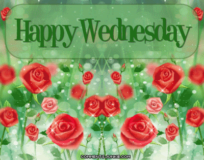 Happy Wednesday Happy Wednesday