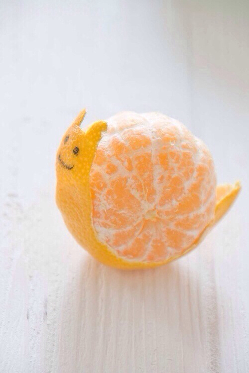 Snail Orange Snail Orange