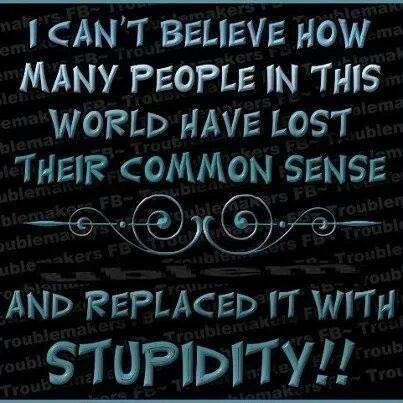 stupidity stupidity