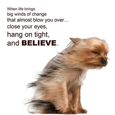 Believe
