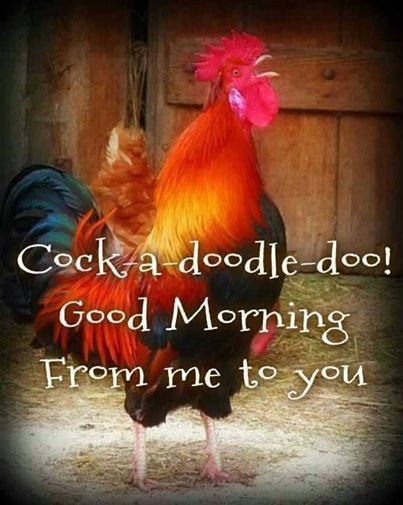 Good Morning Good Morning