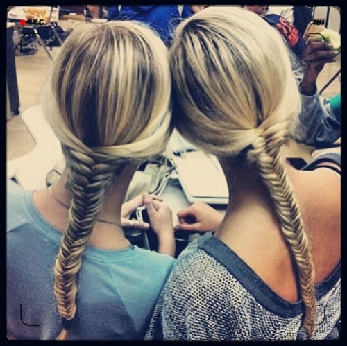 Fishtail braids
