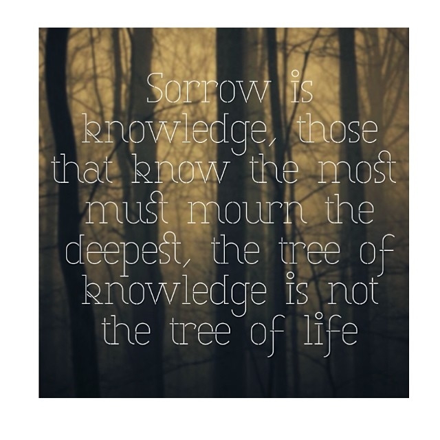 Sorrow is knowledge Sorrow is knowledge