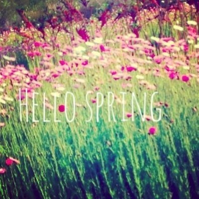 Hello Spring Hello Spring