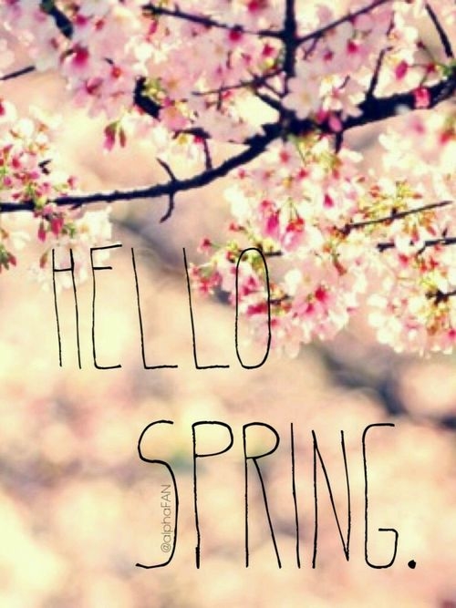 Hello Spring
