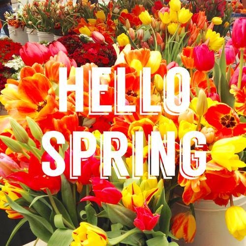 Hello Spring