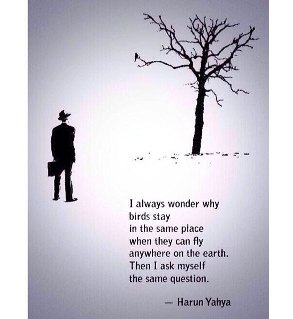I Always Wonder I Always Wonder